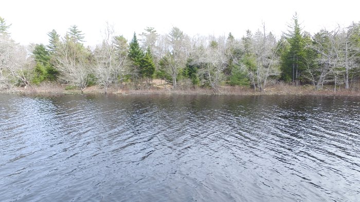 WentworthHalbinsel (96)